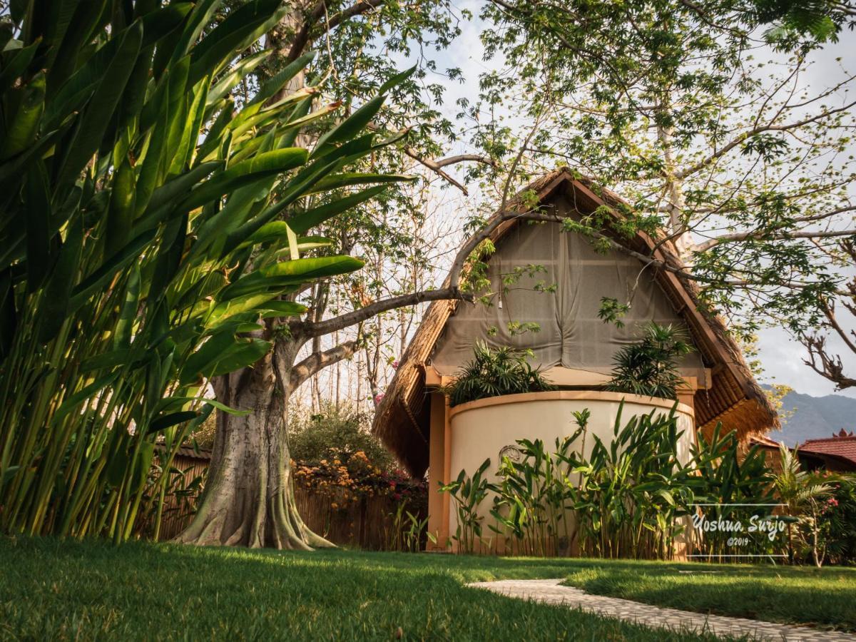 Kuda Laut Bungalows & Diving Pemuteran Exterior foto